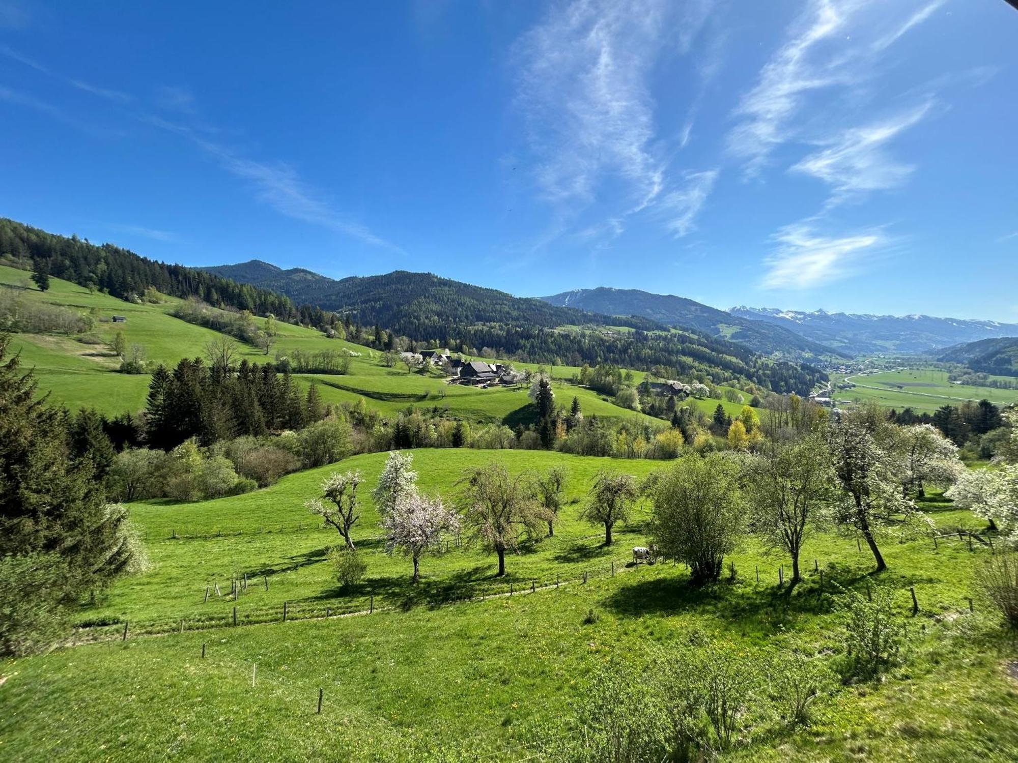 Panorama-apartment Ennstalblick Appartement Niederöblarn